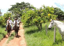 Brazil-Rio/Sao Paulo-Plantation Ride